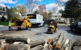 Professional Tree Services in Garrett, IN