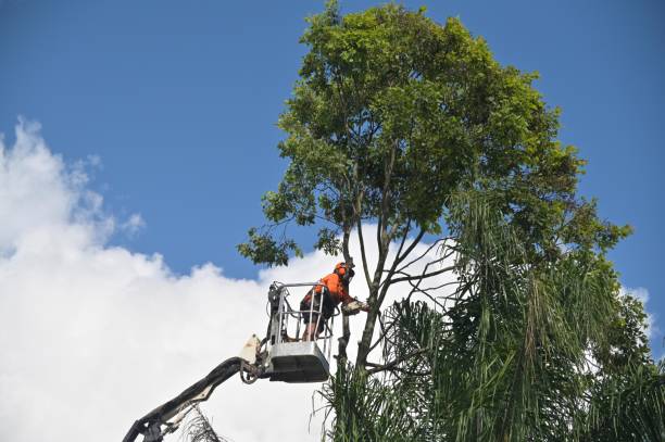  Garrett, IN Tree Services Pros